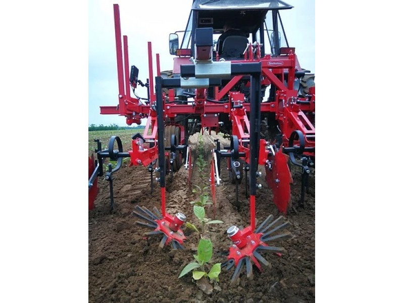 Steketee cultivator with starwheels