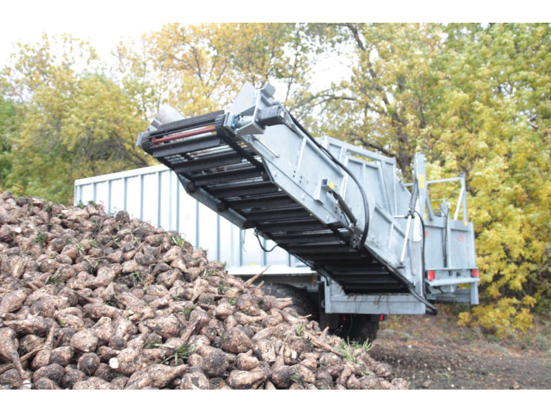 FLIEGL RUBY