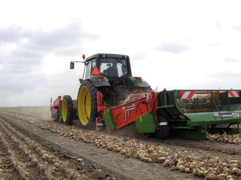 HOLARAS UR rendrerakó hagymára, céklára, édesburgonyára/batátára HOLARAS UR rendrerakó hagymára, céklára, édesburgonyára/batátára